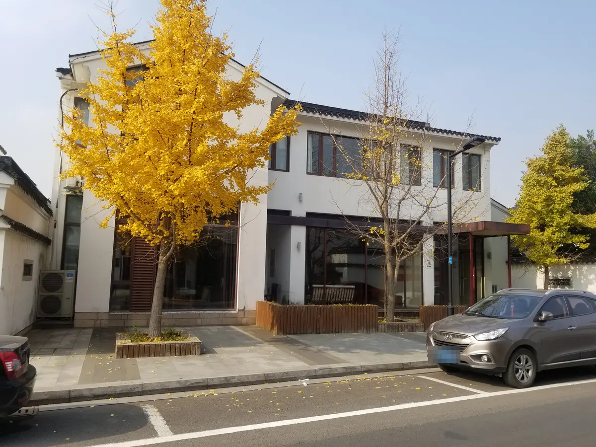 秋季银杏树下的 F²EDU 苏州总部庭园路办公地点
